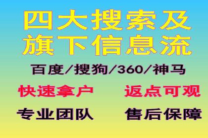 深入剖析SEM公司成功案例：数据驱动的广告策略